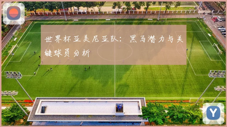 世界杯亚美尼亚队:黑马潜力与关键球员分析