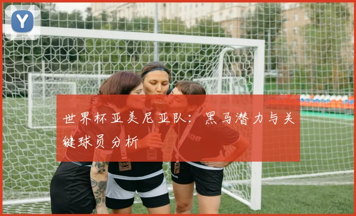 世界杯亚美尼亚队：黑马潜力与关键球员分析